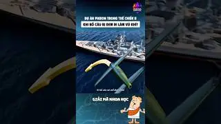 DỰ &Aacute;N PIGEON TRONG THẾ CHIẾN II KHI BỒ C&Acirc;U BỊ ĐEM ĐI L&Agrave;M VŨ KH&Iacute; NTN?