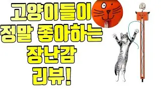 집사대신 놀아주는 고양이 장난감  MOODY PET Fling-Ama-String Cat Toy