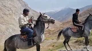 beautiful Horses. Yaghnob Valley ❤️