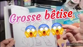 Mes colos terminés et mes en cours + un petit haul !