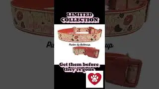 LIMITED COLLECTION