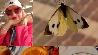 Африка.Занзибар.Танзания.Уход за цветами.Диета . Профессиональный уход за собой.#christinasmith