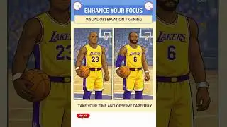 Visual Training Session
