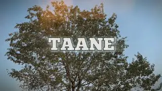 MANSTAR MANU - Taane | PROD BY.DRMS | (Official Music Video)