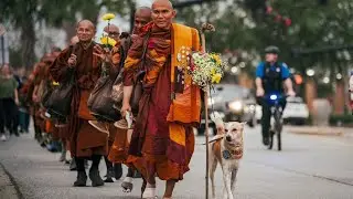 Buddhist monks walking for peace in USA🇺🇸//aloka the peace dog 🐕#walkforpeace #monks #america 