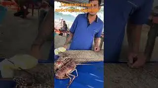Сколько стоит лобстер на Карибах