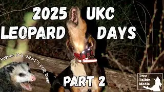 2025 UKC Leopard Days: Part 2