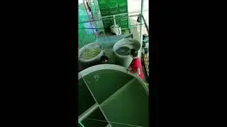 Packing house water treatment - operation video