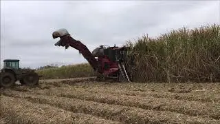 Ray Martin Farms Inc   Sugarcane Harvest 2018