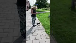Onderweg even snuffelen