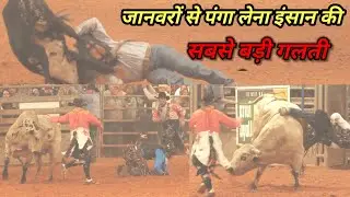 जब इंसान ने लिया जानवरों से पंगा 😱 | Shocking Animal Moments | #4kAnimaldp