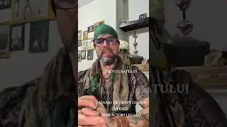 GĂINARI VERSUS  INFRACTORI LEGALI ..GULERE ALBE 