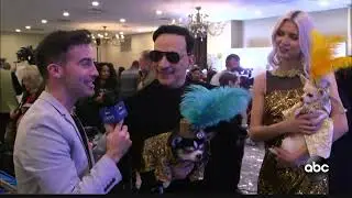 Anthony Rubio interview ABC News, World News Now, Dog Fashion