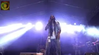 CULTURAL REGGAE VIBEZ 2017 -  Lion D