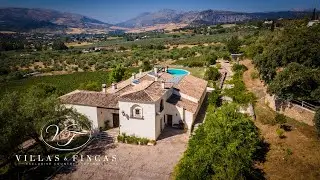 Country Estate with vineyard and bodega for sale in Malaga province