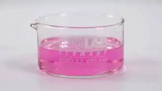 CRYSTALLIZATION DISHES - glass - flat base