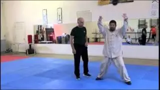 Cannon Fist Energy Alignment Trailer