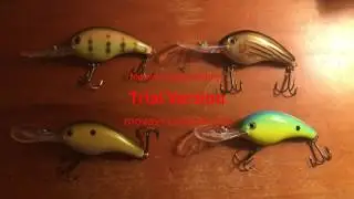 Strike King 10XD Review