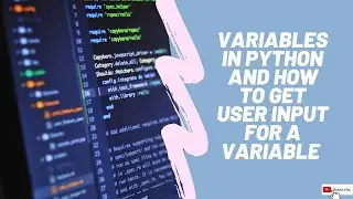 How to take user's input for a variable + Condition statements in Python