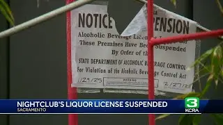 Popular nightclub Tiger faces temporary closure after liquor license suspended