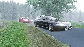 ACP World map - Forest run with Novak