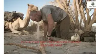 Ed Stafford Thử Thách Sinh Tồn Ở Những Môi Trường Khắc Nghiệt Nhất Thế Giới#sinhtonhoangda#survival
