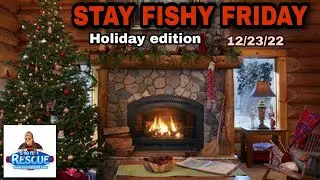 Stay Fishy Friday