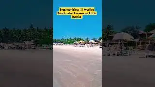 #Russian Beach# Goa#Morjim Beach # short Video