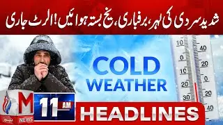 M News Headlines 11 AM | 12 Jan 2026