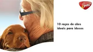 10 ra&ccedil;as de c&atilde;es ideais para idosos