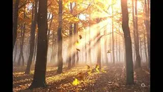 Autumn’s Whisper | Celtic Autumn Instrumental