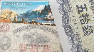 Must See Coin Store Purchase