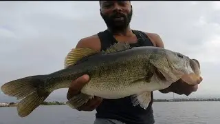 Largemouth Bass Honey Hole 🎣🍯 CENTRAL FLORIDA #fishtalesj #bassfishing #fishing 