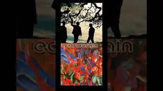 ECHOBRAIN #shorts