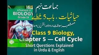 Class 9 Biology Chapter 5 | Cell Cycle short question Explained in Urdu | Abbottabad Board