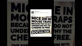 CEO&rsquo;s genius mice reveal socialism&rsquo;s trap
