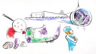 Biovision   H2O Biofouling Solutions