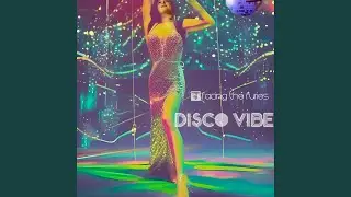 Disco Vibe