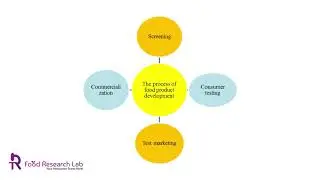 Food Product Development Process