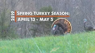 2019 Spring Turkey Season - Teaser