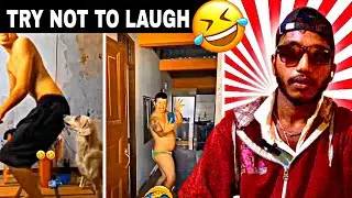 wait for end 🥶😅 (try not to laugh) very funny 😆 #funny #trynottolaugh 