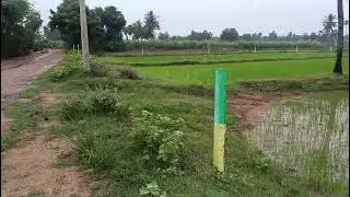 Vandavasi to uthiramerur road 3 acre free service kinaru punjai land 7708283888 road face
