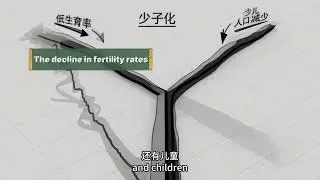少子化《Observing Low  Fertility Trends》