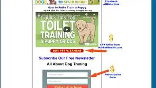 VIRAL VIDEO MONETIZER 2 0