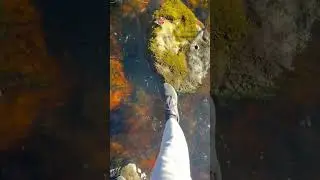 Crossing a river #newsong #newvideo #pianomusic #pianochill #relaxingmusic