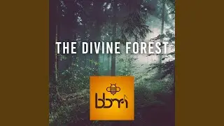 The Divine Forest