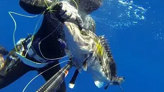 OPEN WATER SPEARFISHING.ΨΑΡΟΝΤΟΥΦΕΚΟ ΣΕ ΑΝΟΙΧΤΑ ΝΕΡΑ(ΣΥΝΑΓΡΙΔΑ,ΠΙΓΚΕΣ,ΣΤΙΡΕΣ)