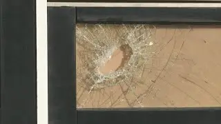 After a night of Covid riots, the Hague surveys the damage | AFP