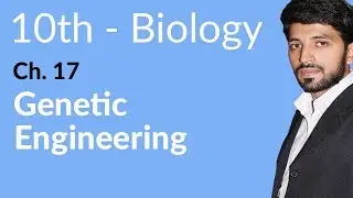 10th Class Biology Chapter 8 - Genetic Engineering - Class 10 Biology Chapter 17