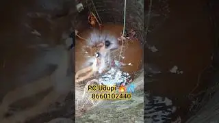 how to properly deep cleaning process old well and enjoying workers' #8660102440